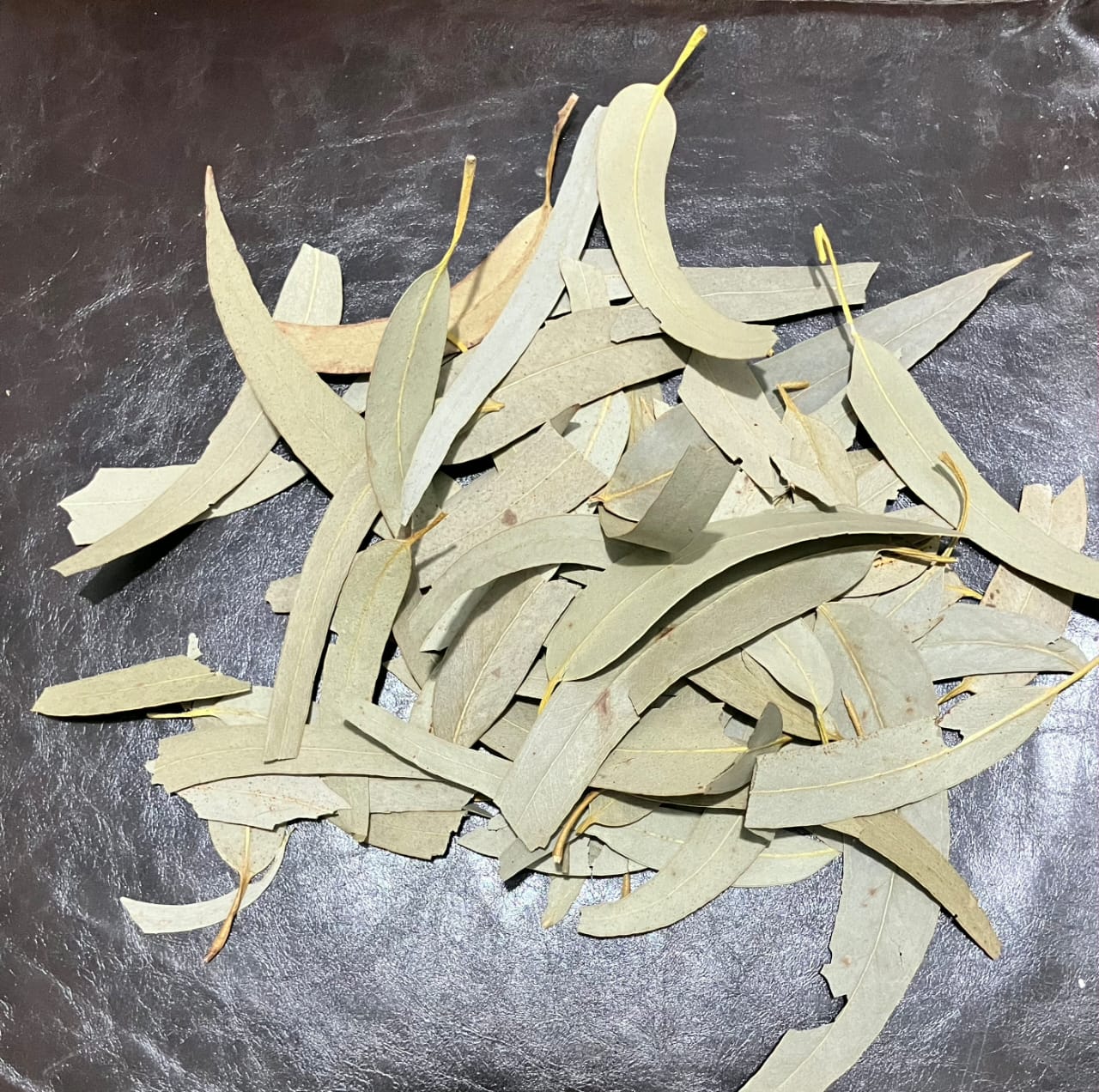 Eucalyptus Leaves