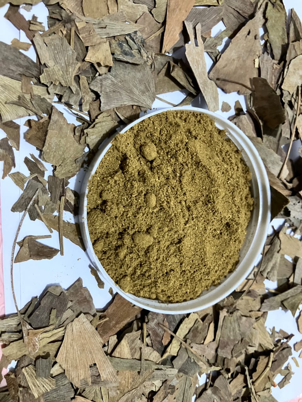 Gingko Biloba