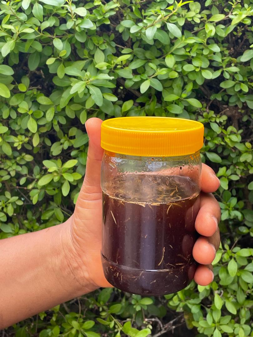 Roots Focus Elixir