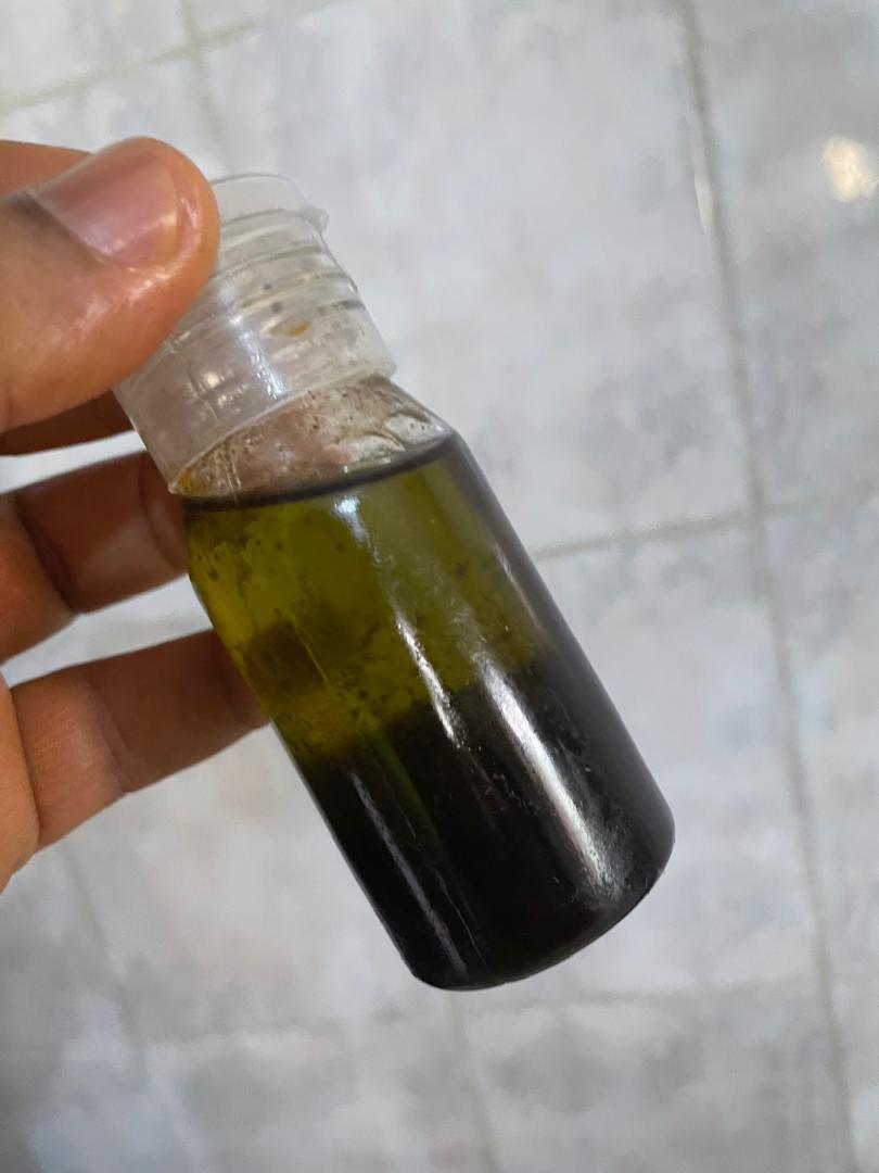 Roots Focus Elixir