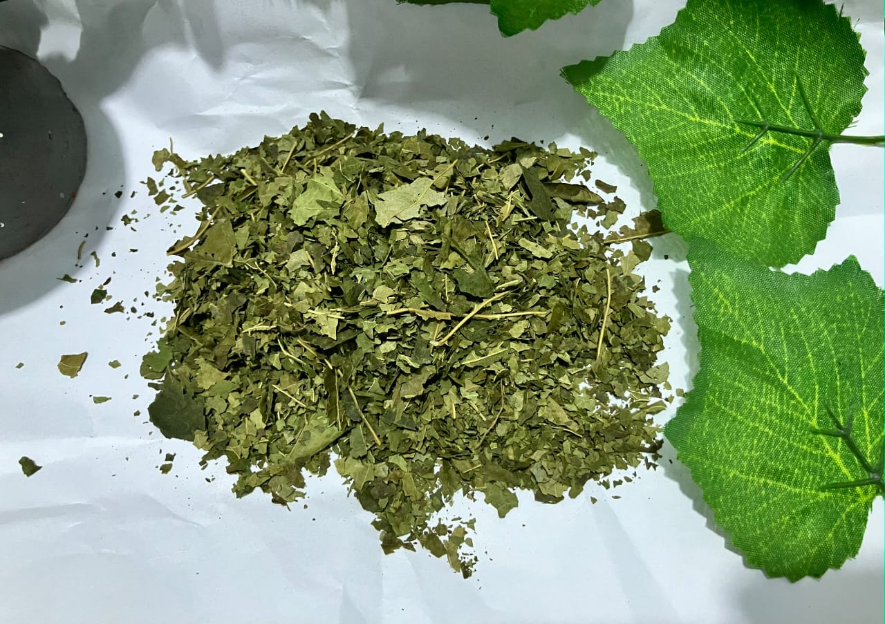 Yarrin (White Lettuce)